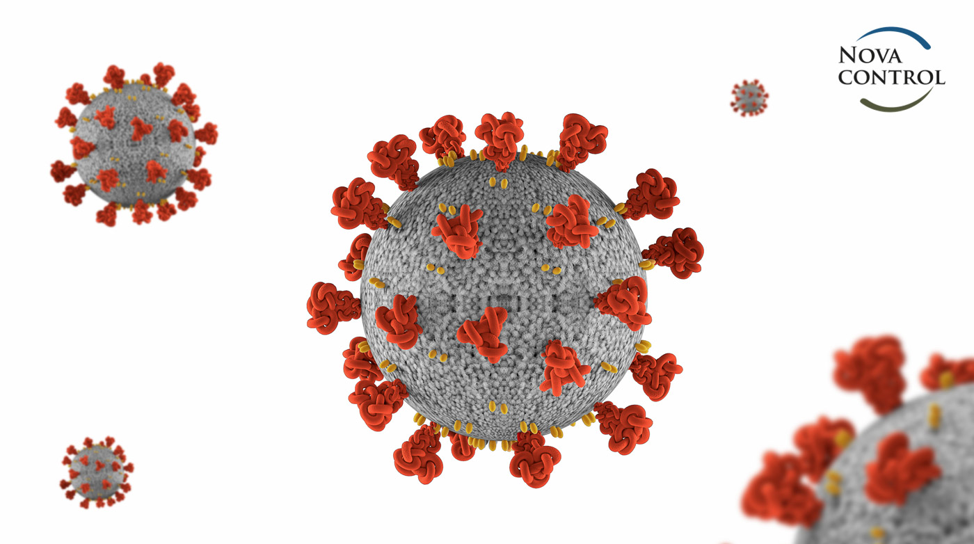 coronavirus COVID-19 microscopic virus corona virus disease 3d illustration india world