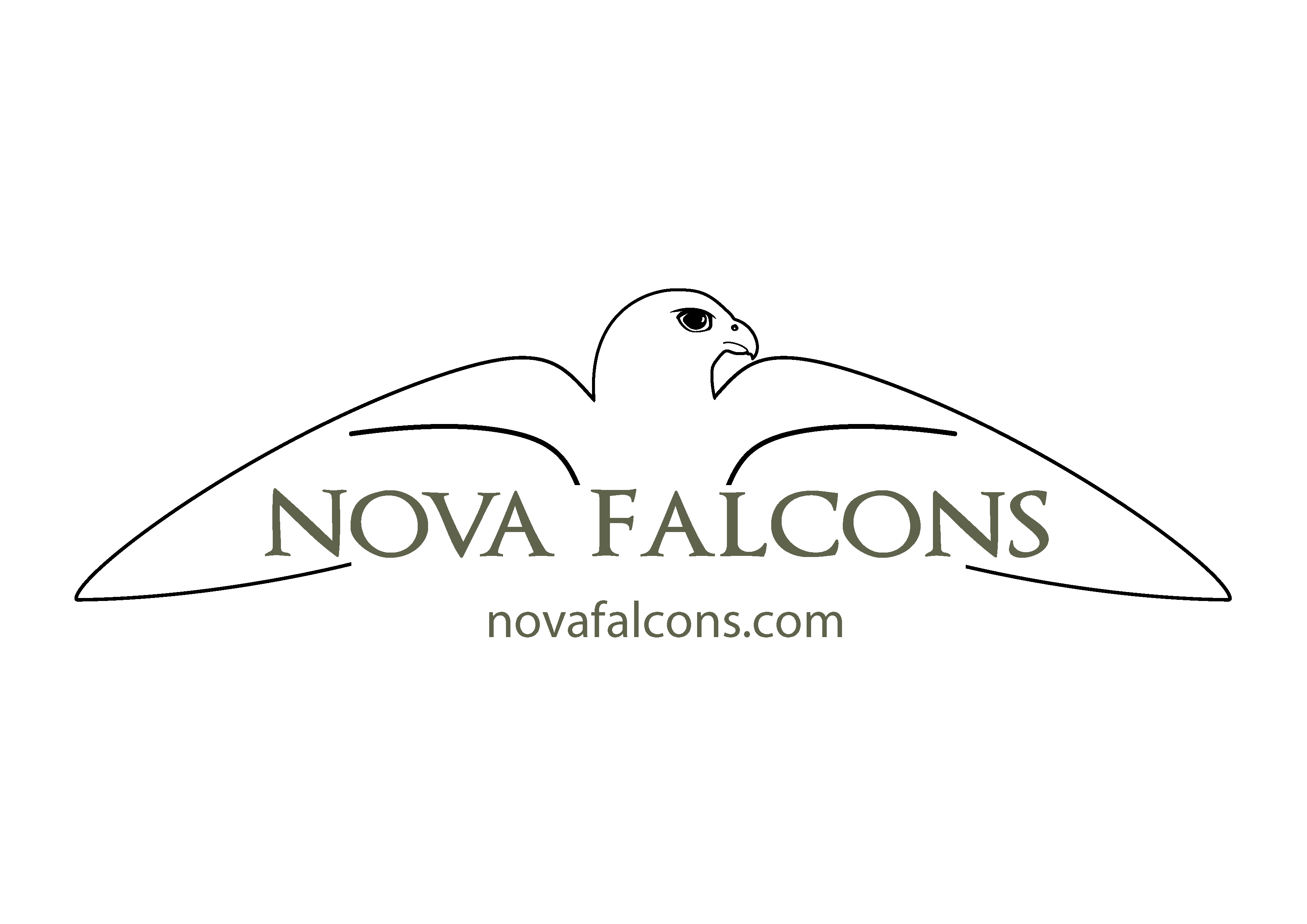 Nova Falcons